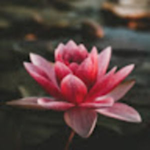 Meet your Posher, Noemi